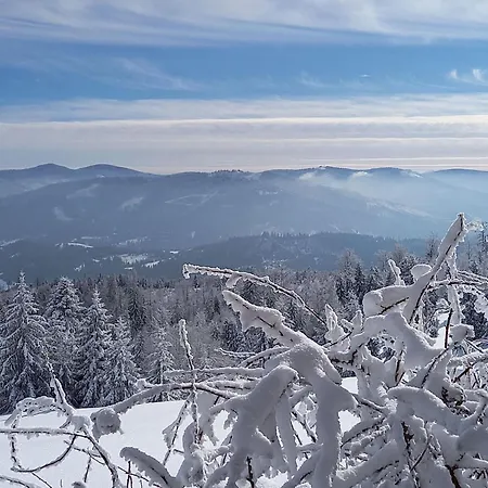Prázdninový dům In Den Bergen- Mit Panoramaterrasse By Interhome *