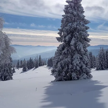 Prázdninový dům In Den Bergen- Mit Panoramaterrasse By Interhome Zwardoń