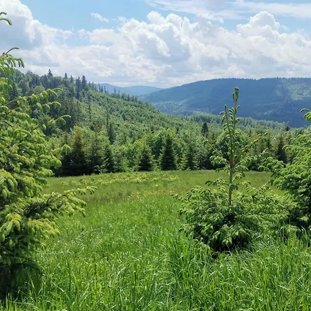 In Den Bergen- Mit Panoramaterrasse By Interhome Prázdninový dům Zwardoń