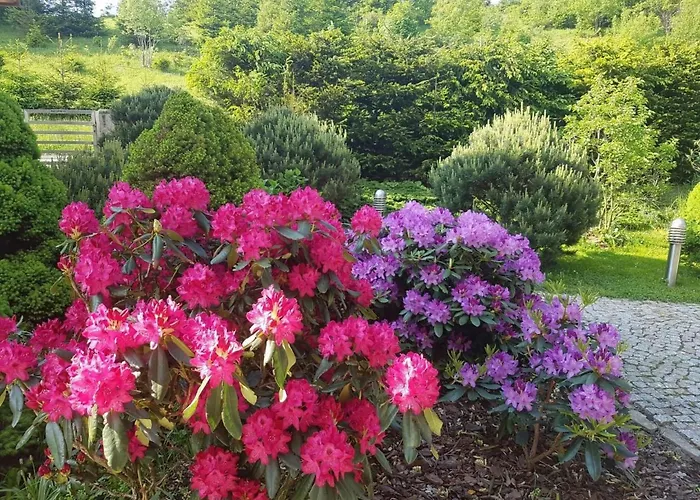 In Den Bergen- Mit Panoramaterrasse By Interhome Prázdninový dům
