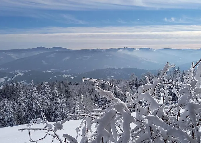 Prázdninový dům In Den Bergen- Mit Panoramaterrasse By Interhome *