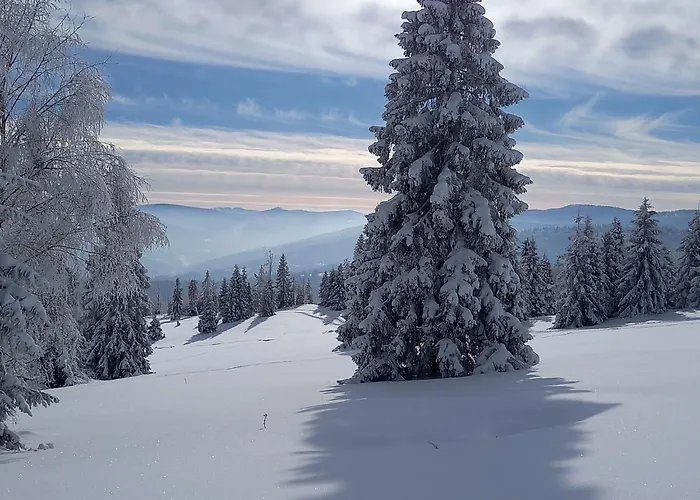 Prázdninový dům In Den Bergen- Mit Panoramaterrasse By Interhome Zwardoń