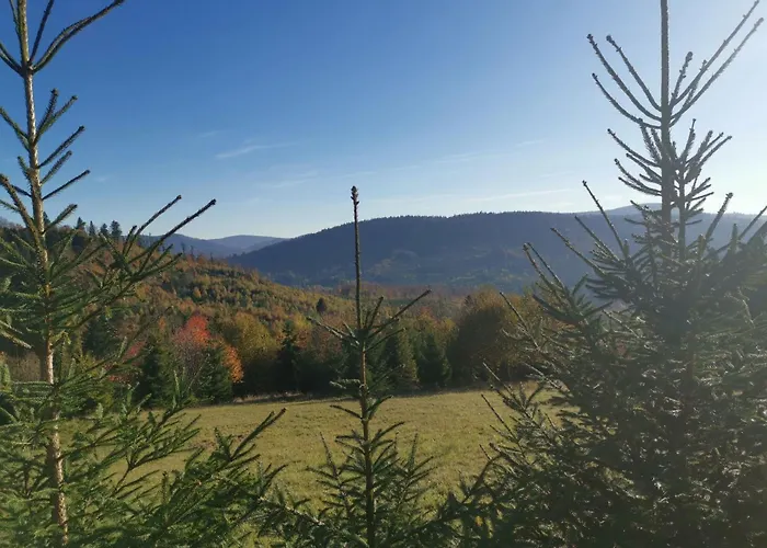 Prázdninový dům In Den Bergen- Mit Panoramaterrasse By Interhome Zwardoń