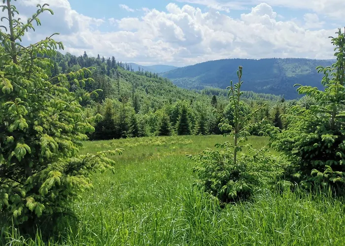 In Den Bergen- Mit Panoramaterrasse By Interhome Prázdninový dům Zwardoń